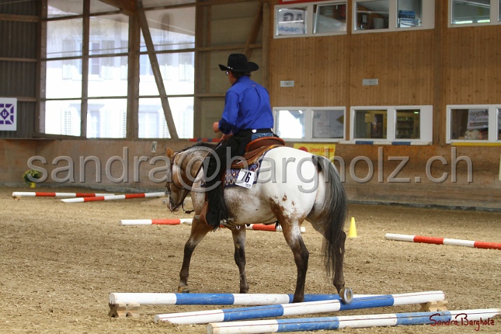 26-ApHC GT_092.jpg